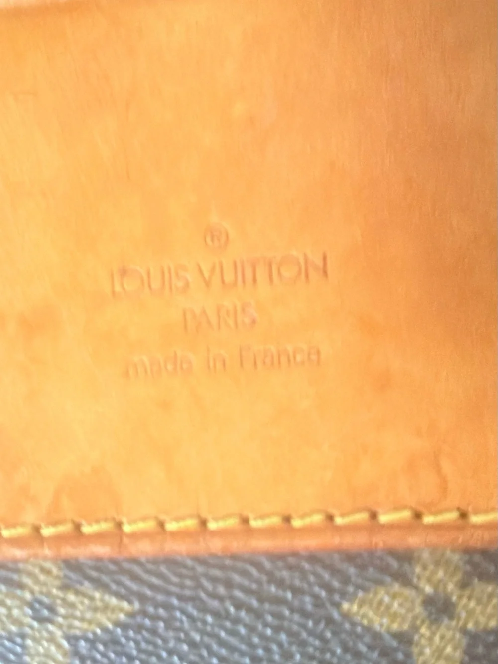 Louis Vuitton Brown Monogram Evasion